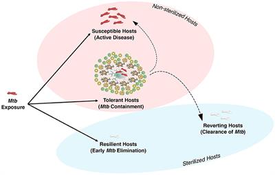 Beyond Killing Mycobacterium tuberculosis: Disease Tolerance